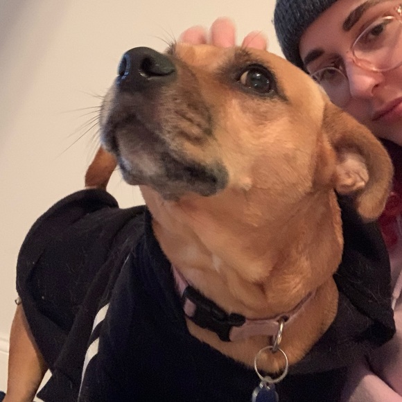 UPDATED SHOP INFO - 3/17/22 - Picture 6 of 8